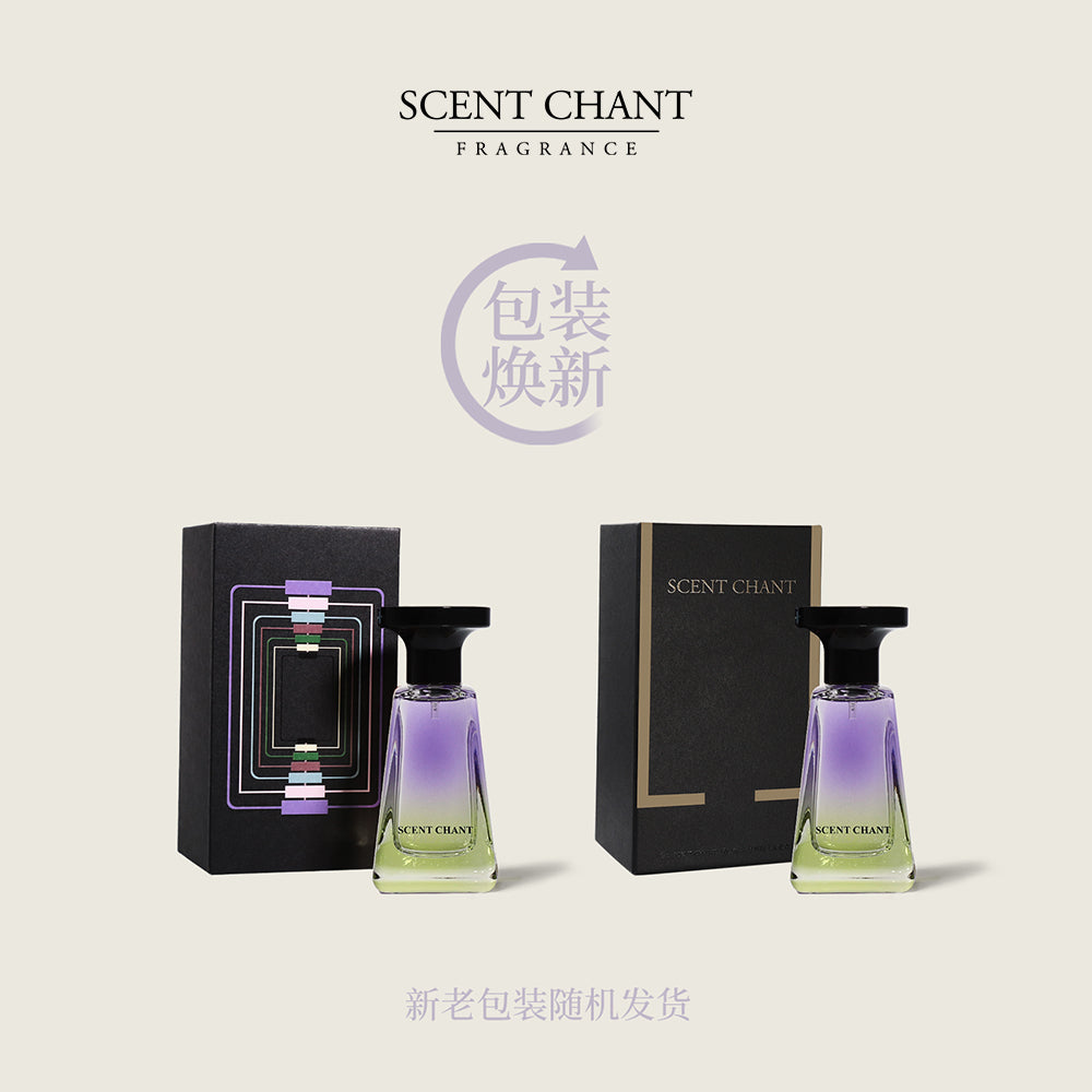 Scent Chant Hey Bartender Perfume – Fruity Floral Cocktail Fragrance with Citrus, Red Berry & Vanilla Musk