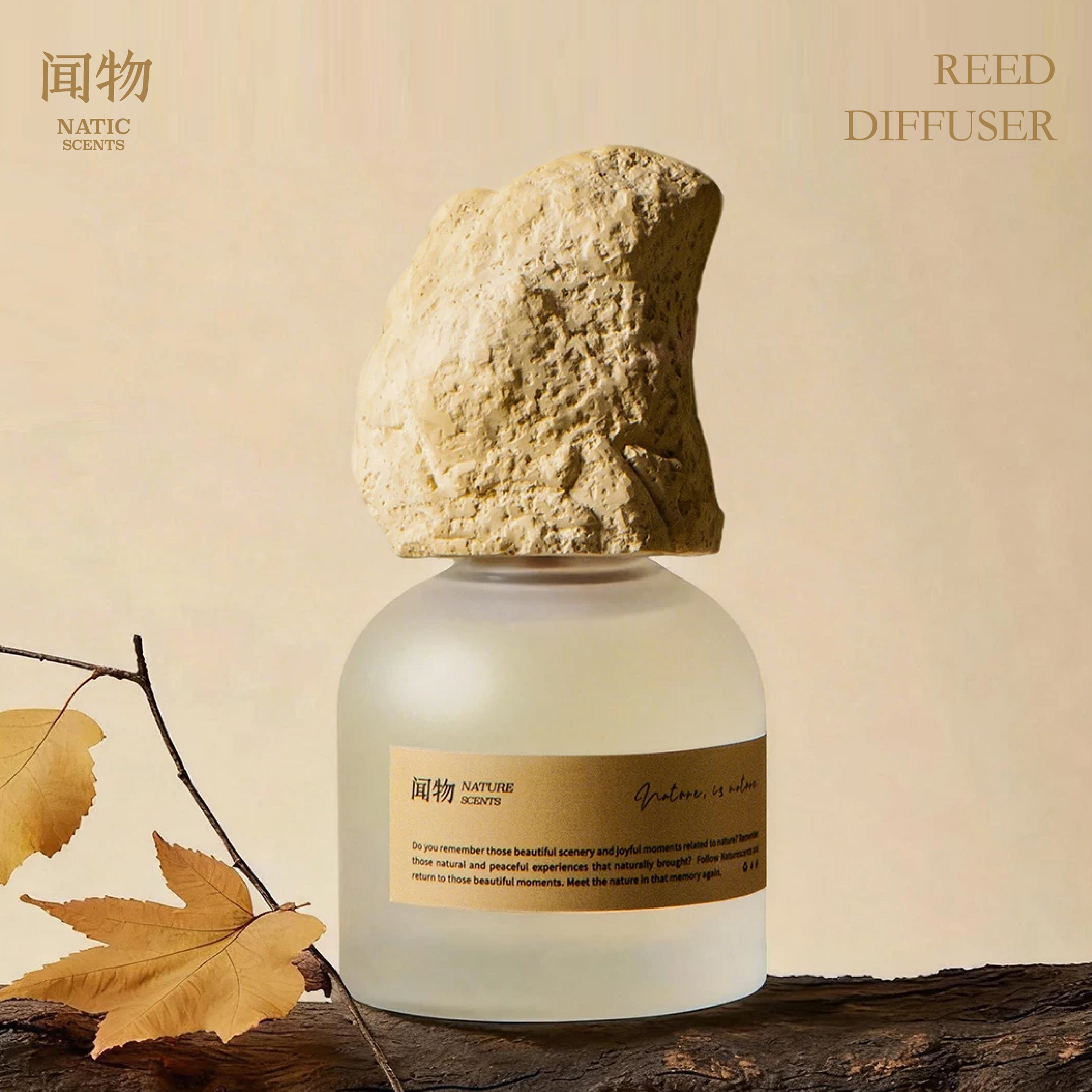 NaticScents Reed Diffuser 100ml – Gypsum Stone Cap Aromatherapy Diffuser | Grass Spring & Autumn Forest Home Fragrance