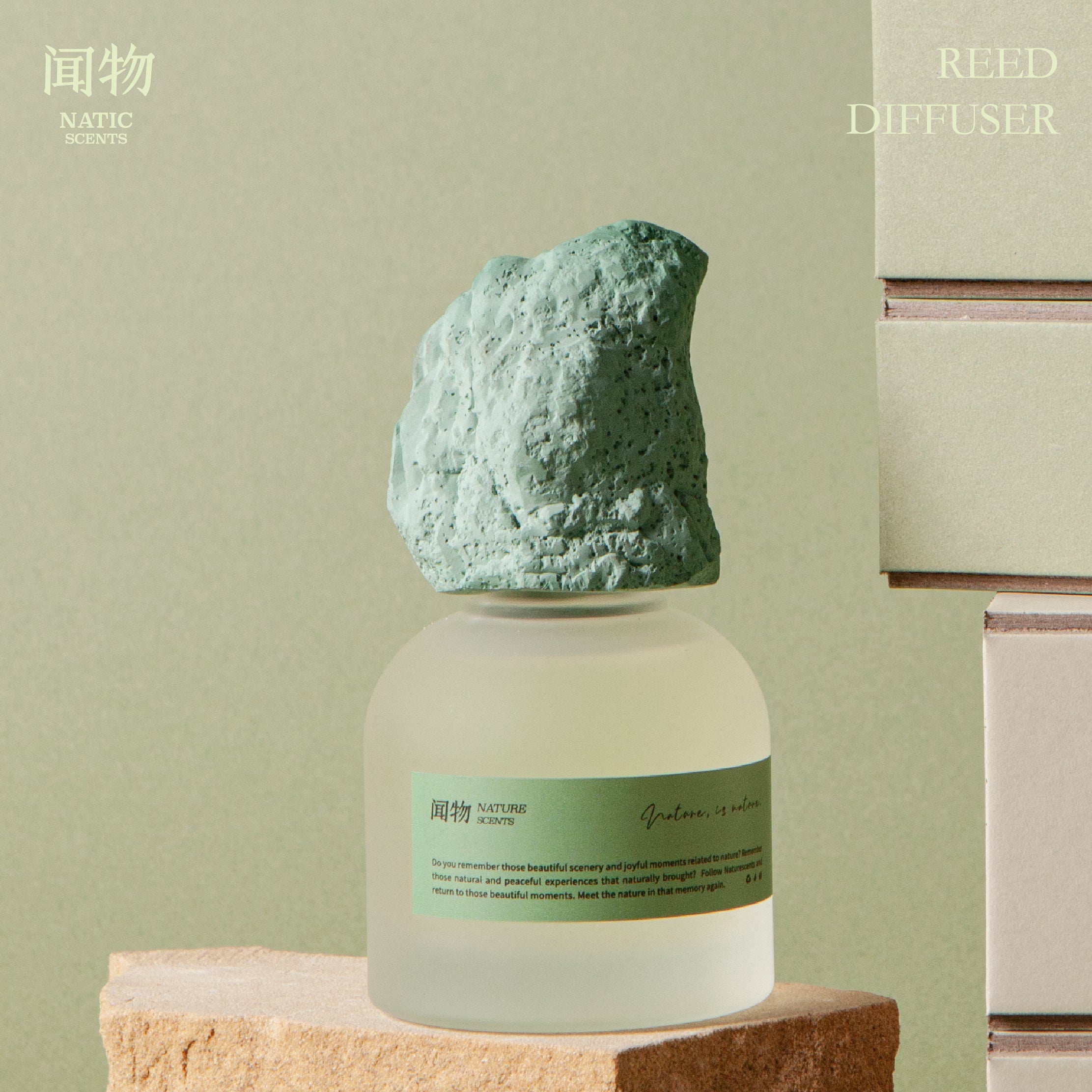 NaticScents Reed Diffuser 100ml – Gypsum Stone Cap Aromatherapy Diffuser | Grass Spring & Autumn Forest Home Fragrance