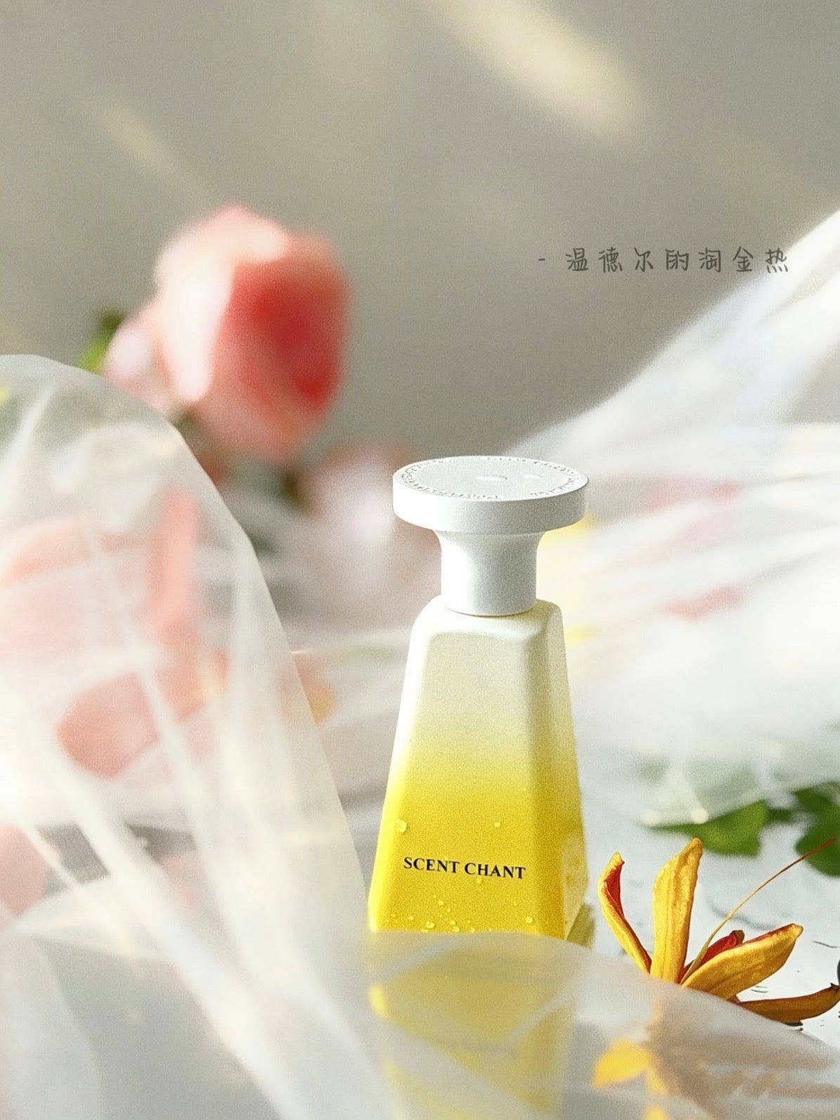 SCENT CHANT Cocktail Collection Fragrance – 4 Scents
