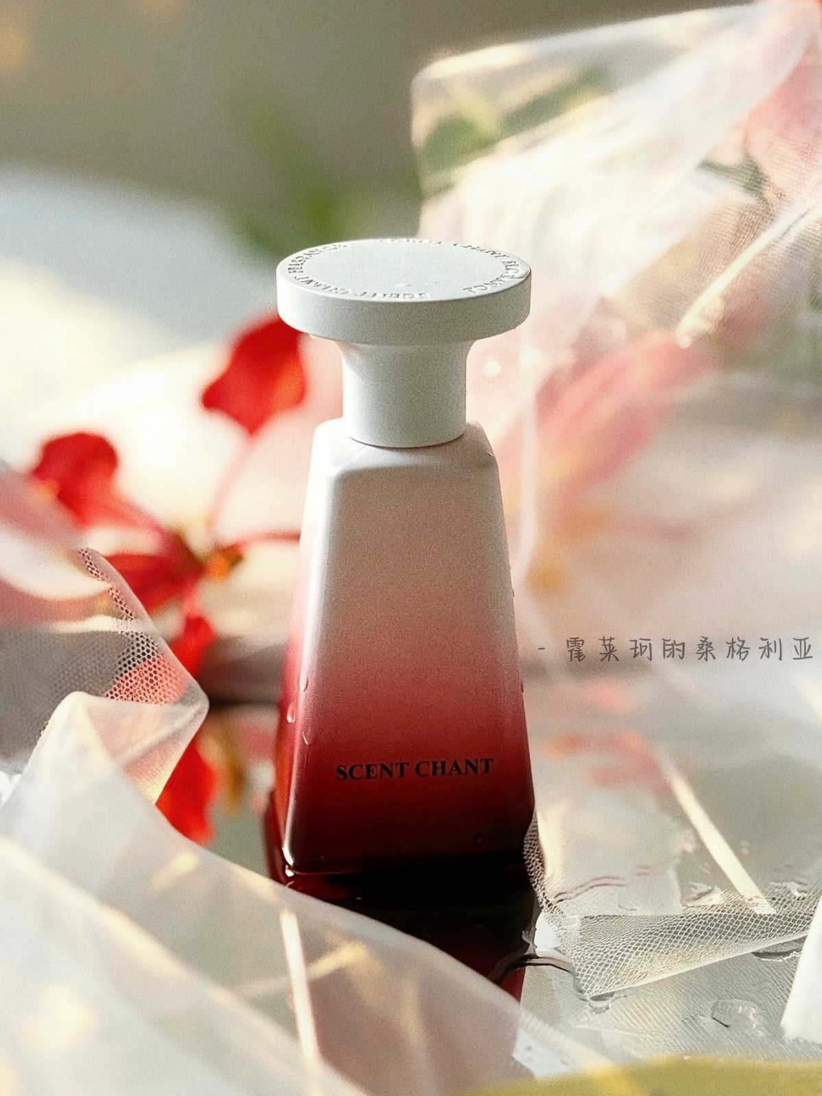 SCENT CHANT Cocktail Collection Fragrance – 4 Scents