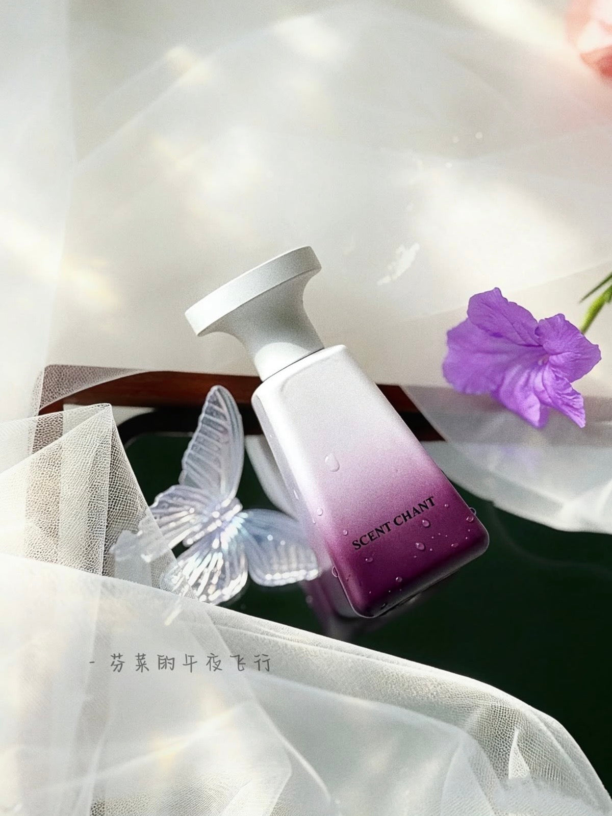 SCENT CHANT Cocktail Collection Fragrance – 4 Scents