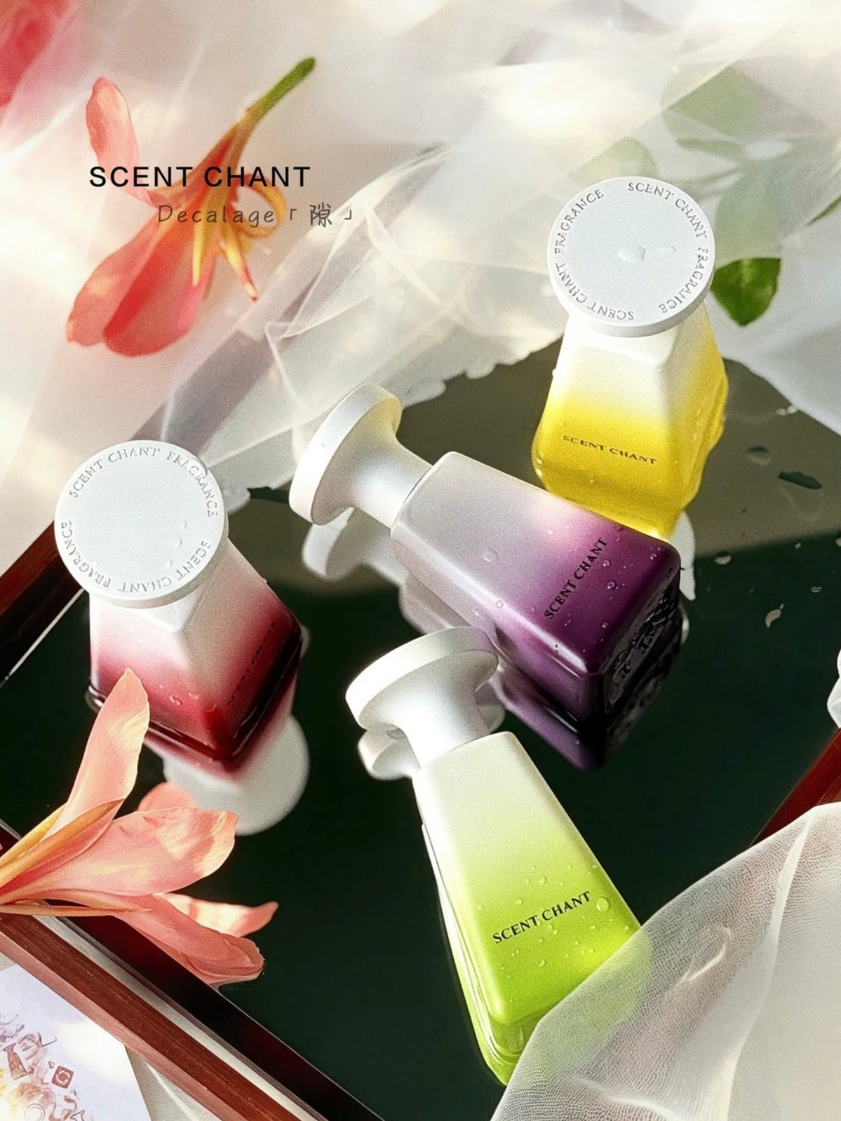 SCENT CHANT Cocktail Collection Fragrance – 4 Scents