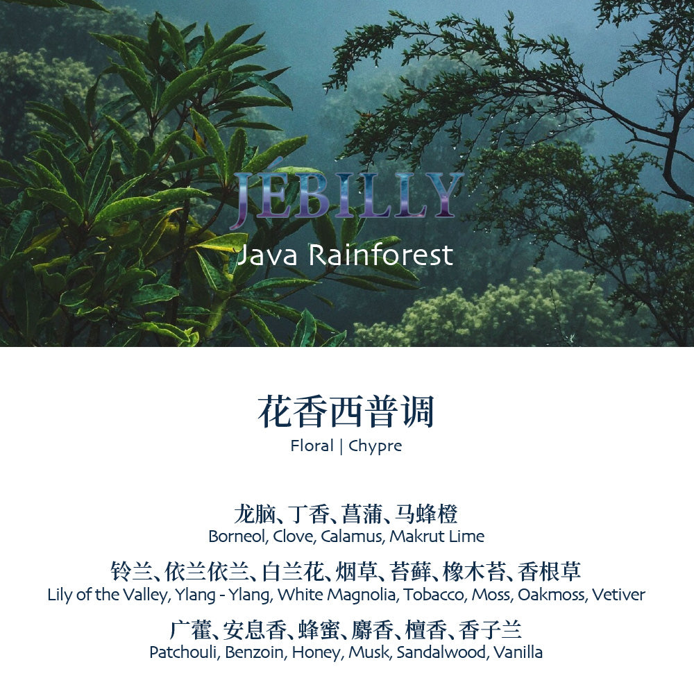 JEBILLY Java Rainforest Eau de Parfum – Floral Chypre Green Fragrance | Long-lasting Artistic Perfume